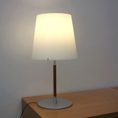 lampe opaline de bureau