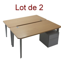 Bureau double professionnel