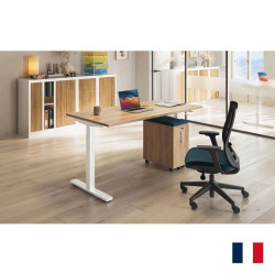 BUREAU RÉGLABLE PAR MANIVELLE