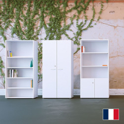 Armoire de bureau professionnelle