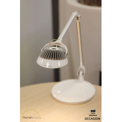 Humanscale Vision