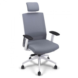 Fauteuil Mal de dos RESILLE