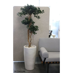 Plante artificielle - occasion