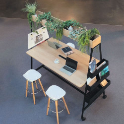 Table coworking - plantes