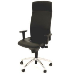 Fauteuil de direction REFLEX