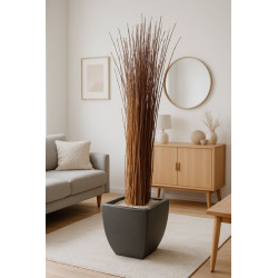Branches bois décoratives
