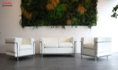 canapé le corbusier LC2 Cassina 