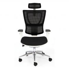 fauteuil ergonomique 