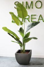 artificiel oiseau de paradis plante