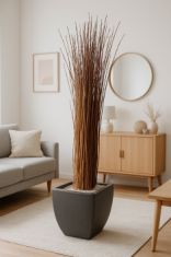 Branches bois décoratives