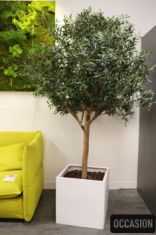 olivier artificiel tanaman pot pas cher