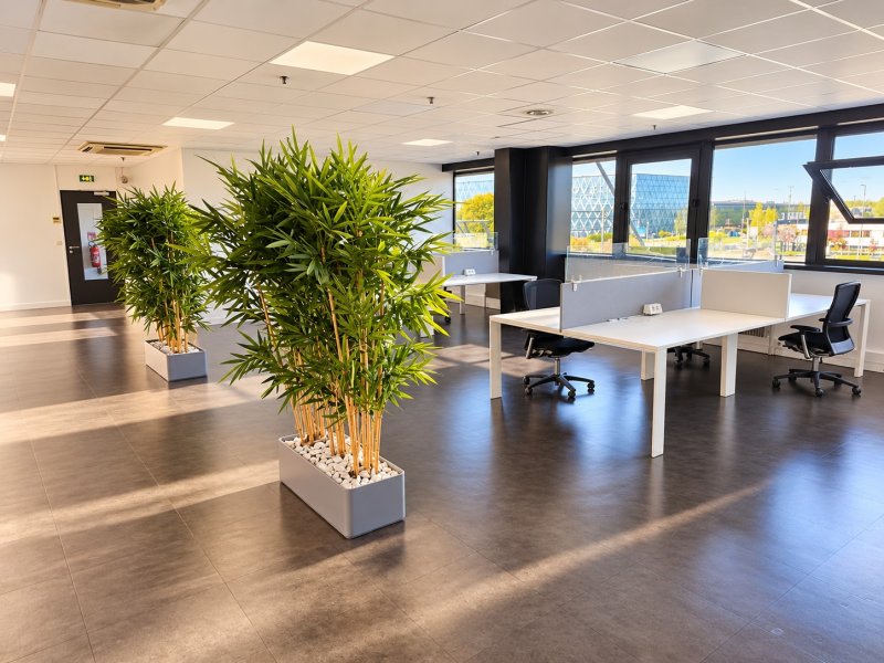 Aménagement d'un open space, photo 1